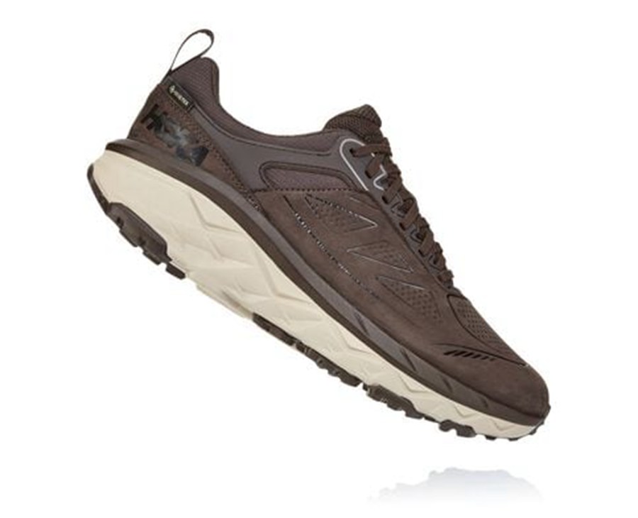 Zapatillas Trail Hoka One One Hombre - Challenger Bajas Gore-Tex - Marrones - UNX950872